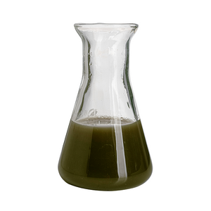 En-Green Pure Kelp Protoplesm