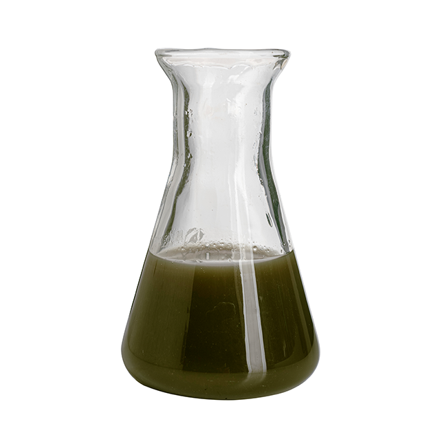 Organic Enzymatic Liquid Kelp Fertilizer for Garden And Vegetables And Indoor Plants